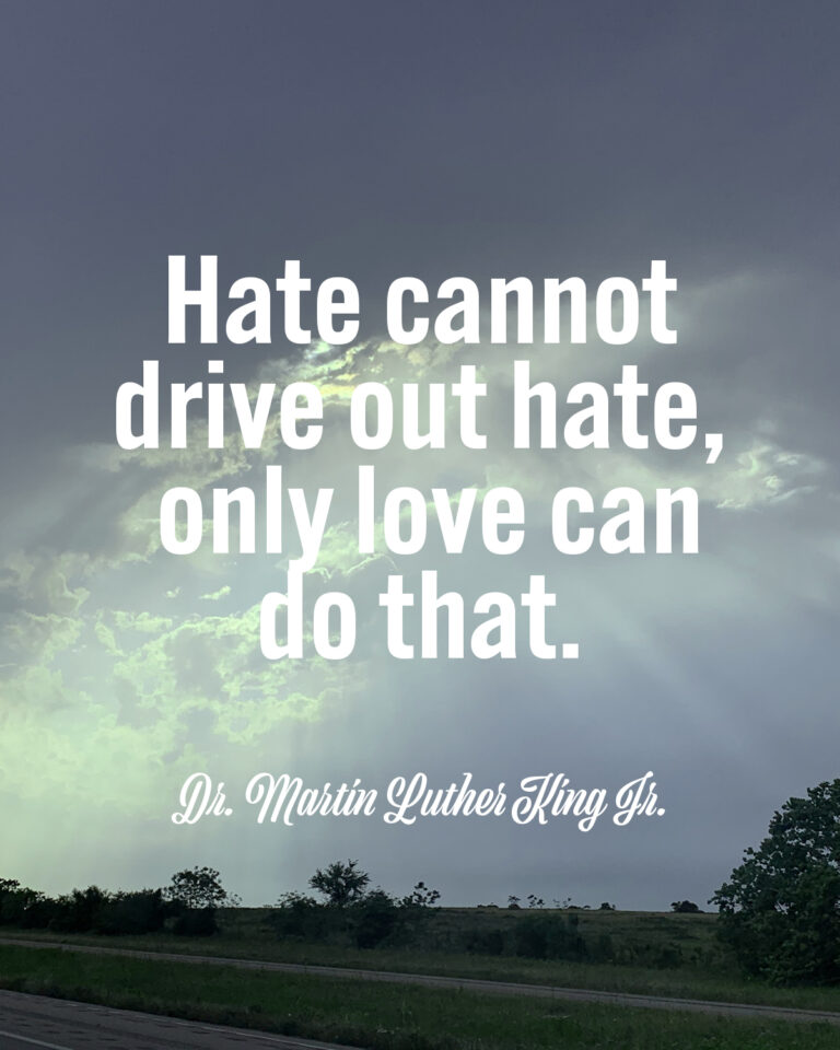 Fight Hate With Love Rise to Your Challenge
